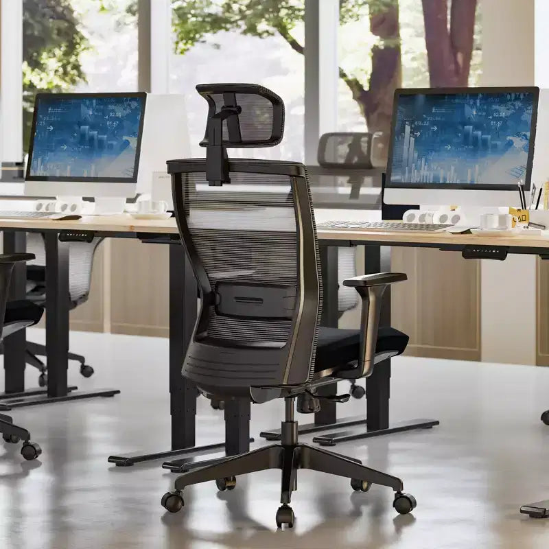 Chaise de bureau ergonomique standard, coussin d'assise en mousse, noir