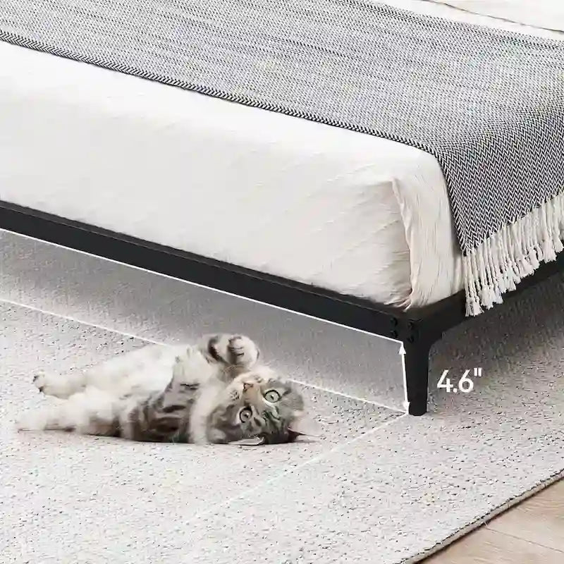 Metal Bed Frame, Low Platform Bed Frames