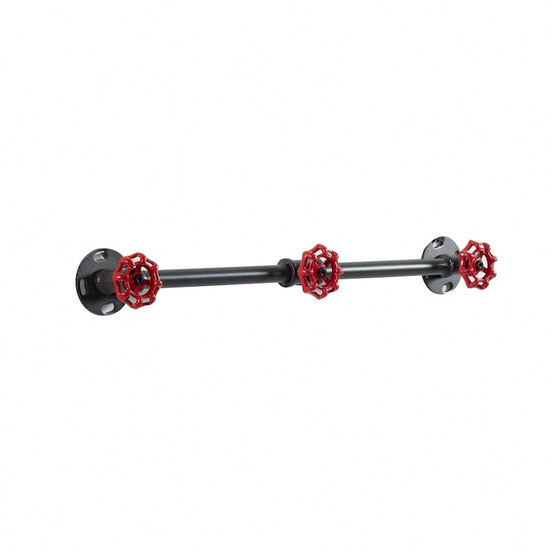 Cambria Industrial Sand Black Wall Coat Rack by Furniture of America