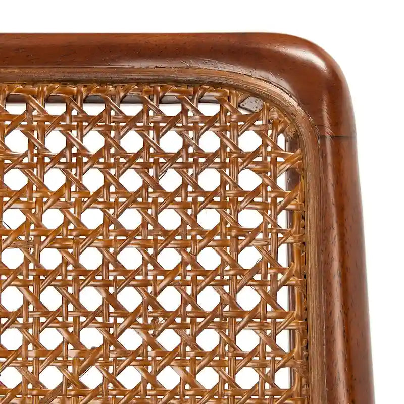 SAFAVIEH Sylva Rattan Cushion Dining Chair (Set of 2) - 19 W x 17.5 L x 32 H - 19Wx18Dx32H